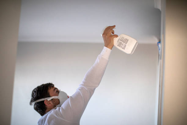 Best Mold Removal Near Me  in Brownsville, OR