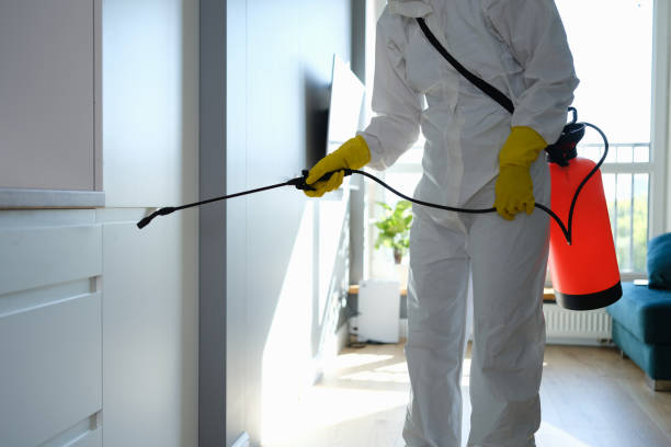 Best Crawl Space Mold Removal  in Brownsville, OR