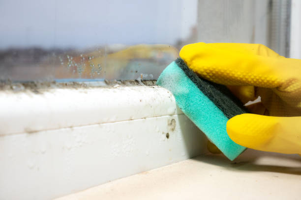 Brownsville, OR Mold Removal Company