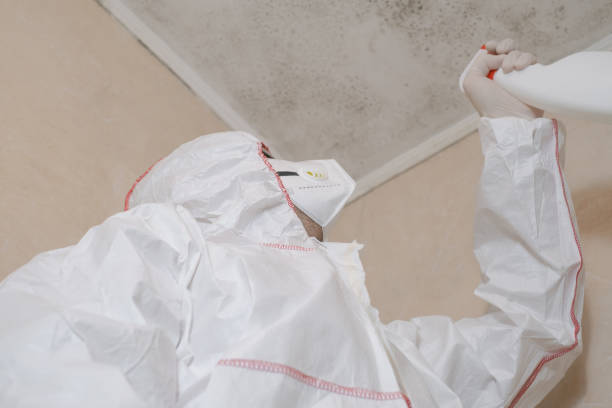 Best Mold Cleaning Services  in Brownsville, OR