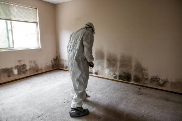 Best Mold Testing  in Brownsville, OR