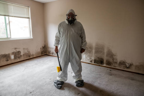 Best Mold Removal Company Near Me  in Brownsville, OR
